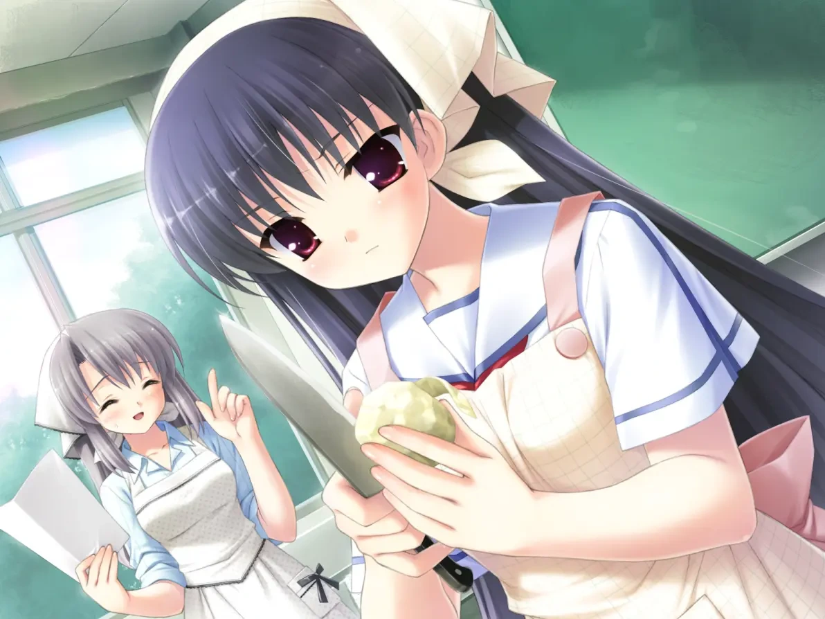 图片[2]-[PC-CN] 夏ノ雨 夏之雨 VER民间汉化-星咏回廊-一站式Galgame社区